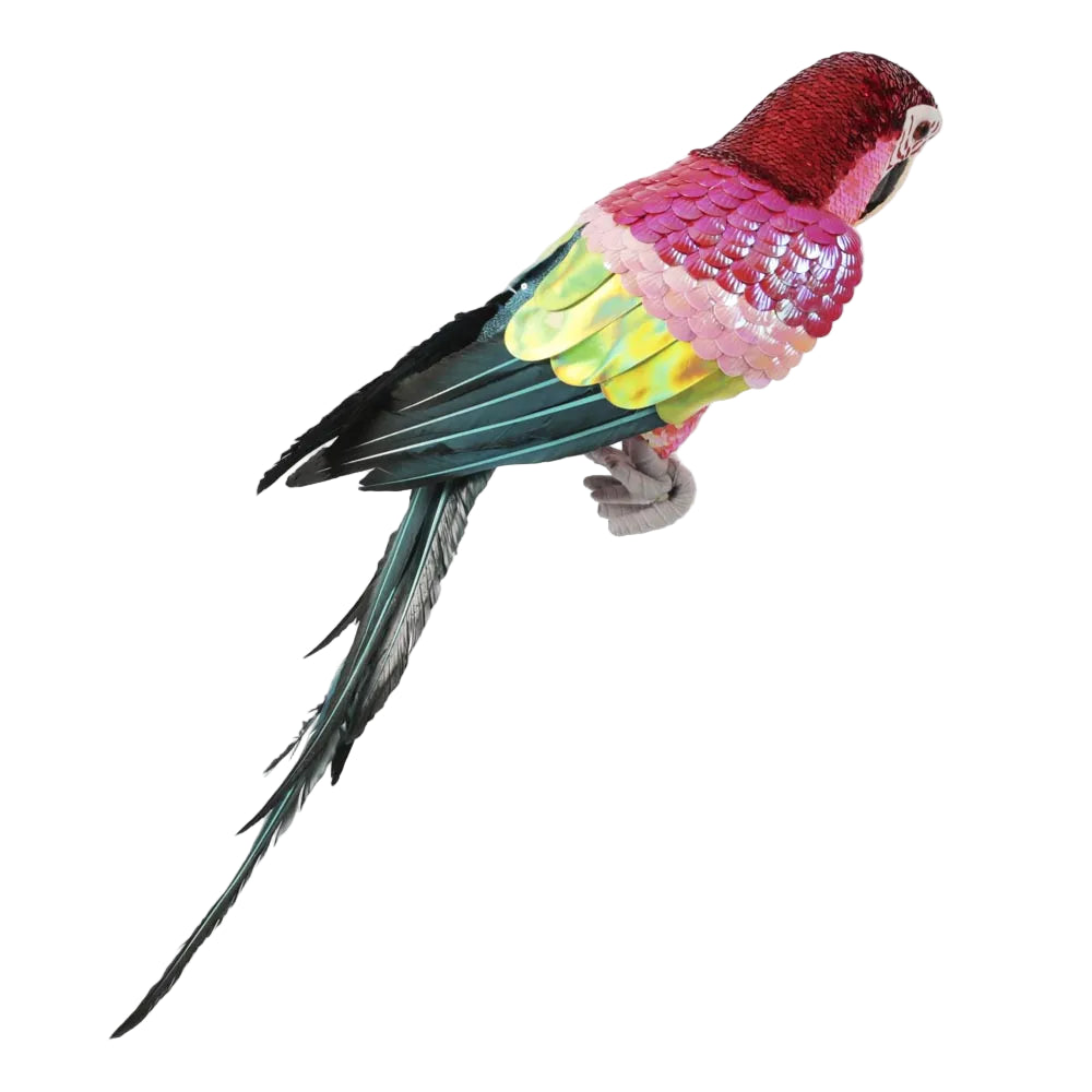 Majestic Stardust Parrot - Large