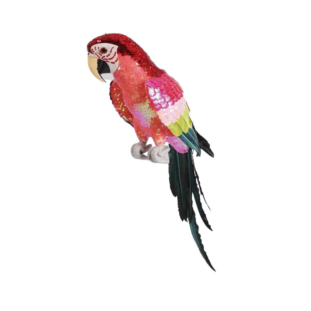 Majestic Stardust Parrot - Small
