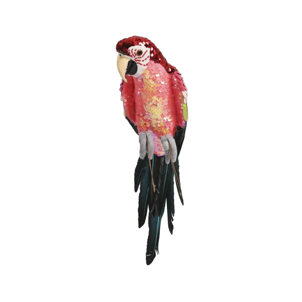 Majestic Stardust Parrot - Small