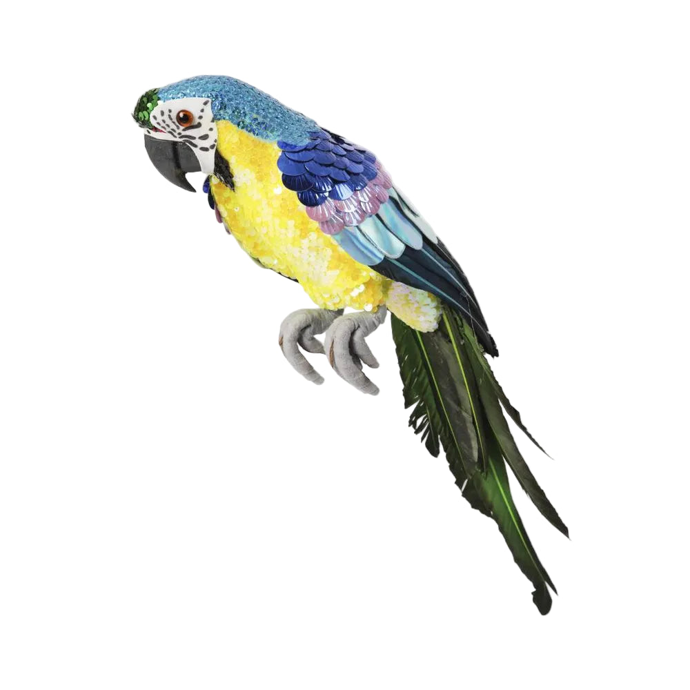 Azure Yellow Belly Parrot - Small
