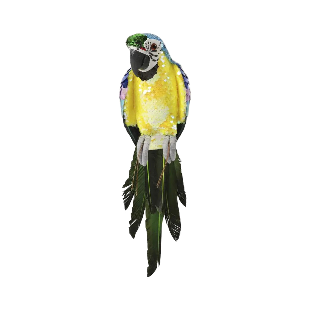 Azure Yellow Belly Parrot - Small