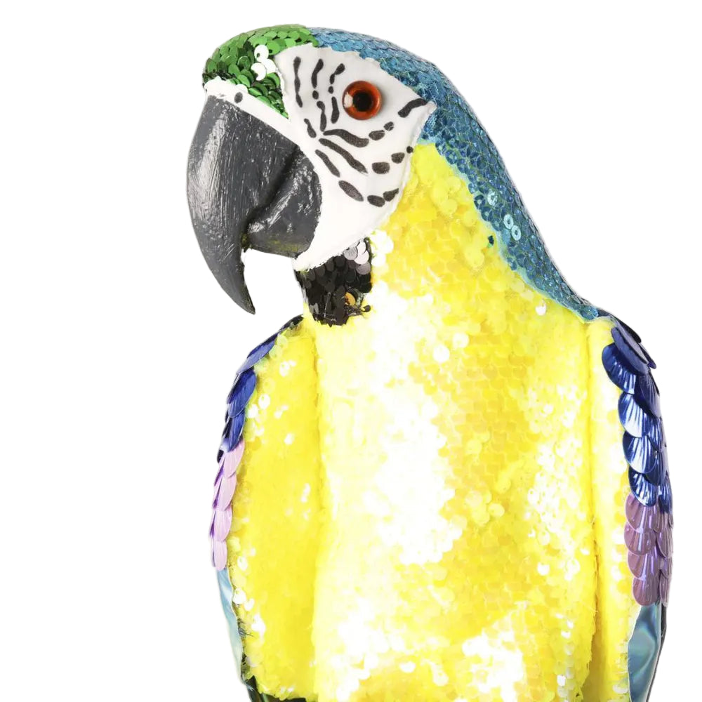 Azure Yellow Belly Parrot - Large