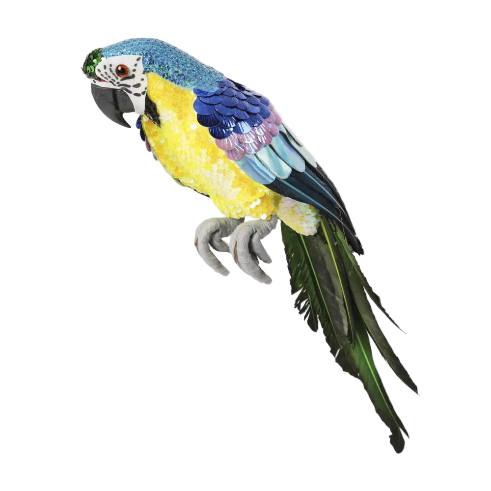 Azure Yellow Belly Parrot - Large
