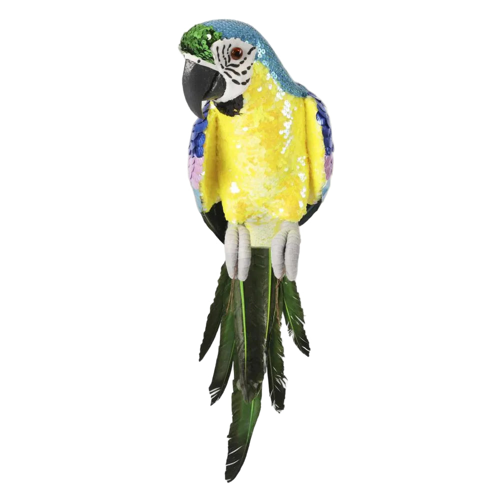 Azure Yellow Belly Parrot - Large
