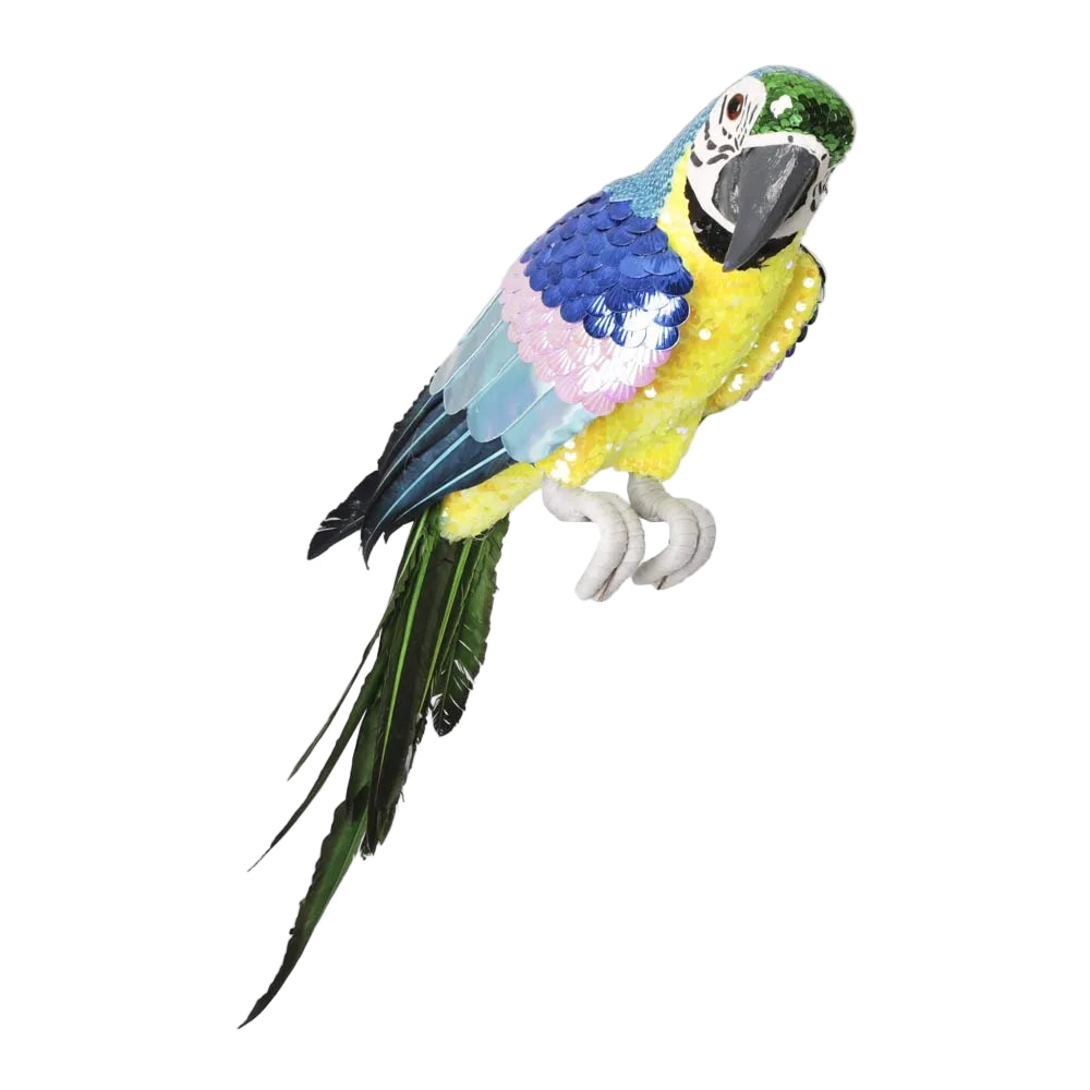 Azure Yellow Belly Parrot - Large