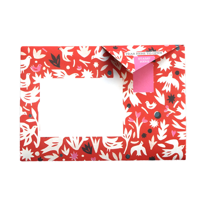 Pigeon Letter Pack - Fiesta
