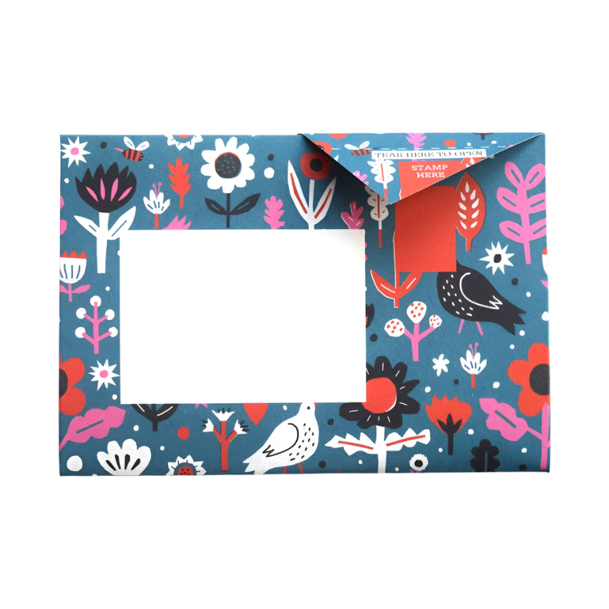 Pigeon Letter Pack - Fiesta