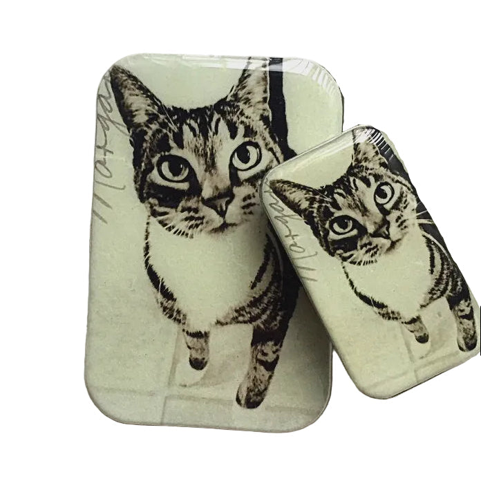 Notions Tin Large - Cat