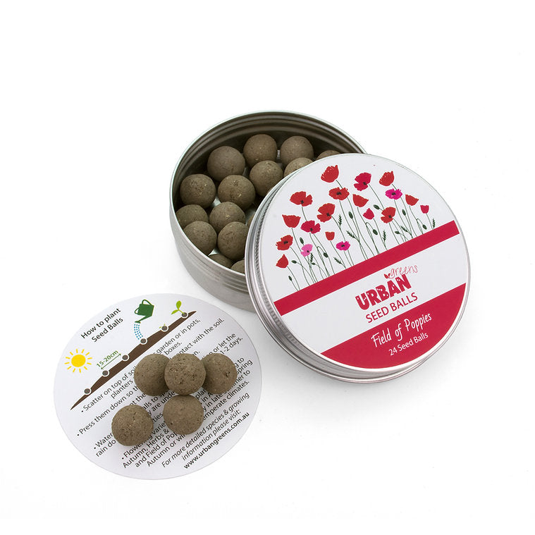 Urban Seed Balls
