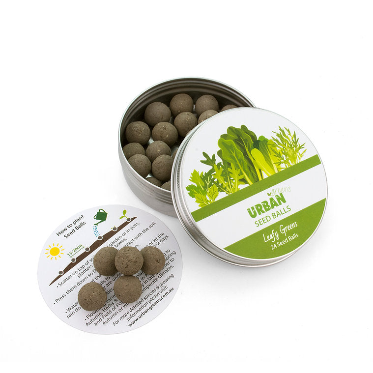 Urban Seed Balls