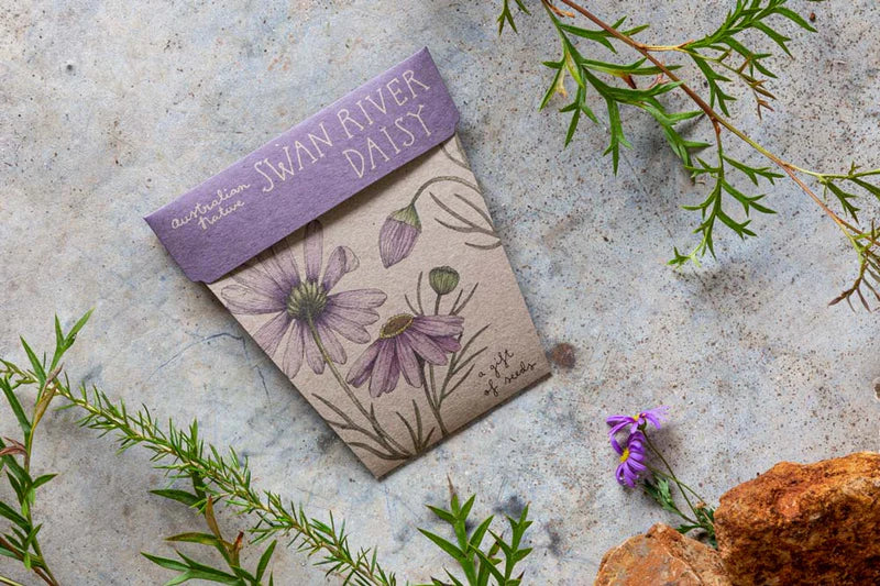 Gift of Seeds - Swan River Daisy