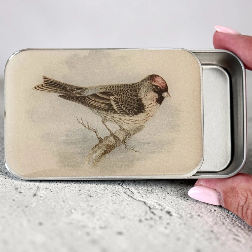 Notions Tin Large - Redpoll Bird