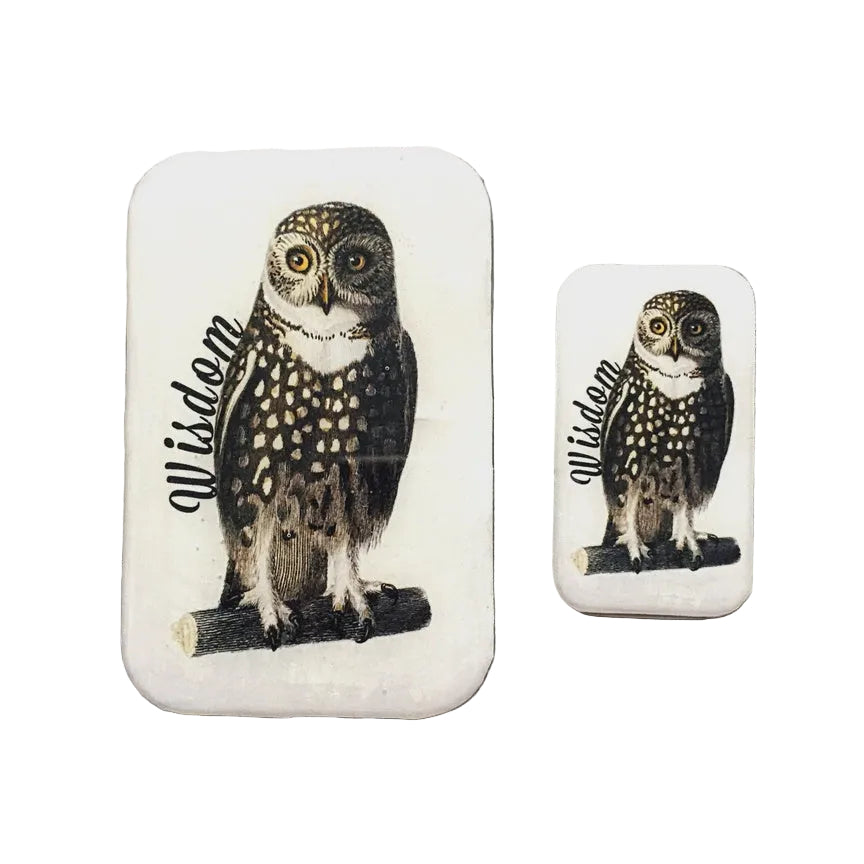 Notions Tin Small - Wise Owl