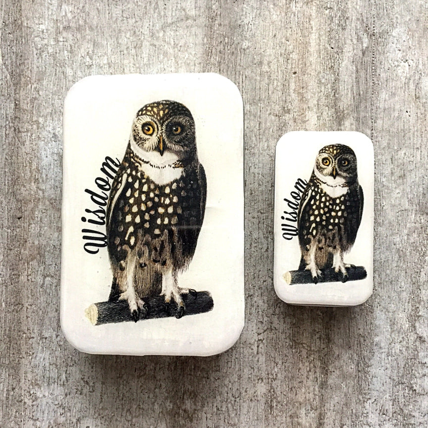 Notions Tin Small - Wise Owl