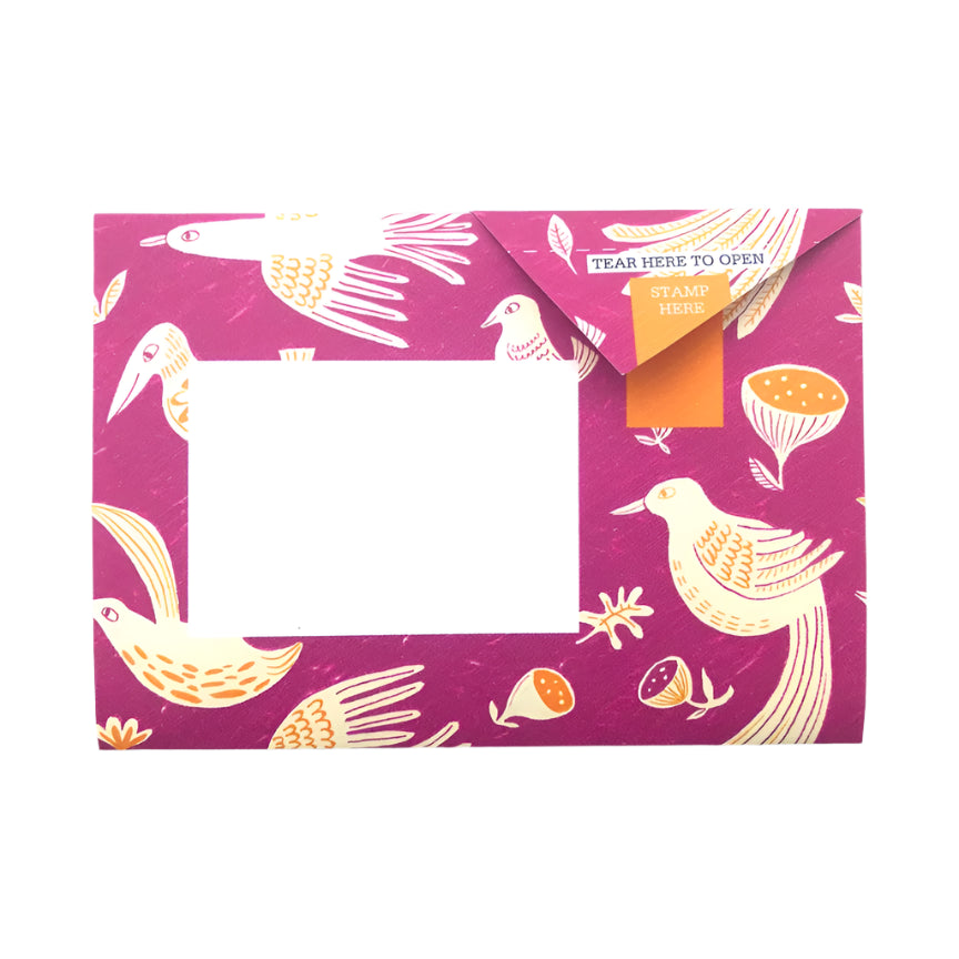 Pigeon Letter Pack - Fig & Feather