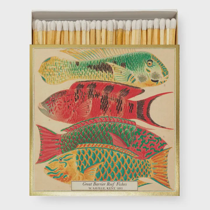 Square Matchboxes - Fish