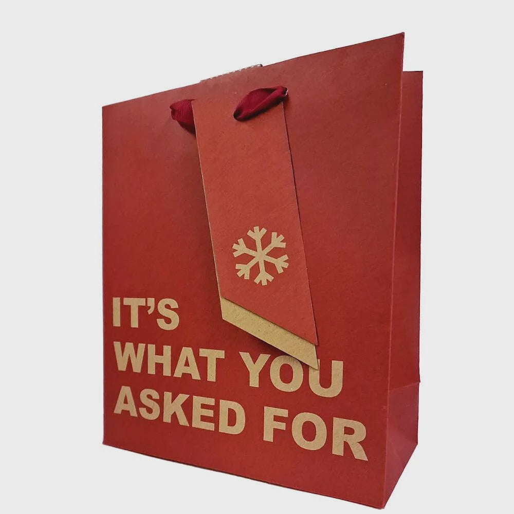 Christmas Large Gift Bag - It's What You Asked For