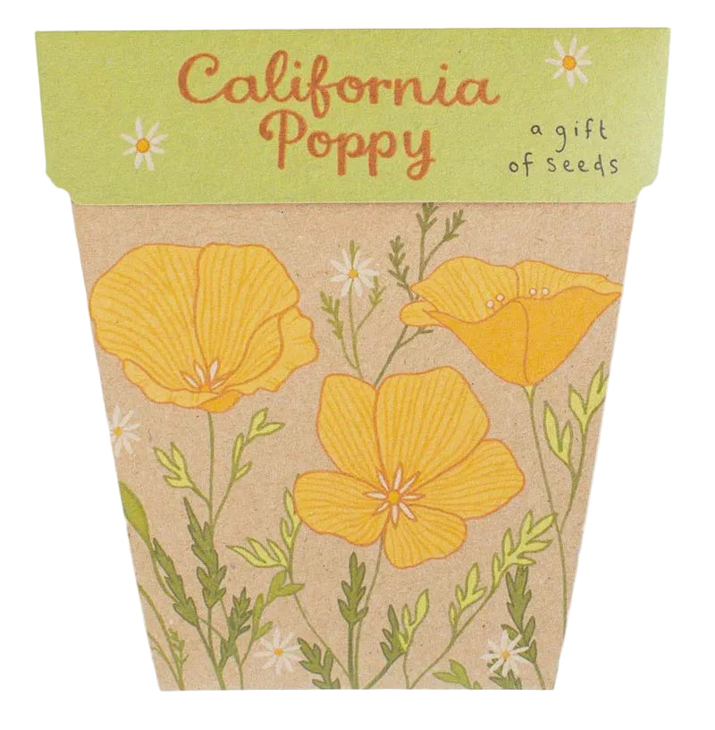 Gift of Seeds - California Poppy