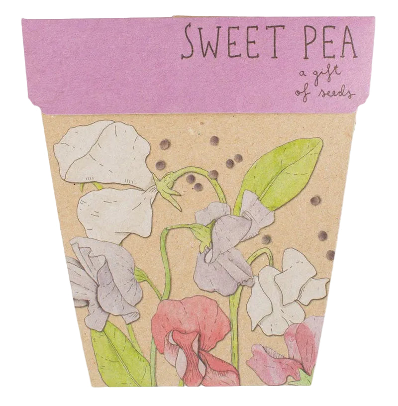 Gift of Seeds - Sweet Pea