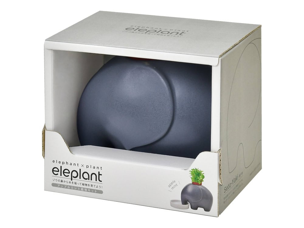 Elephant Grey Plant – Mint