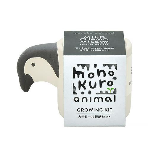 Monokuro Penguin - Chamomile