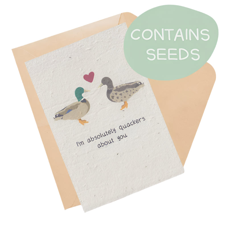 Plantable Card - Quackers About You Ducks