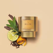 Gold Collection - Illume Candle