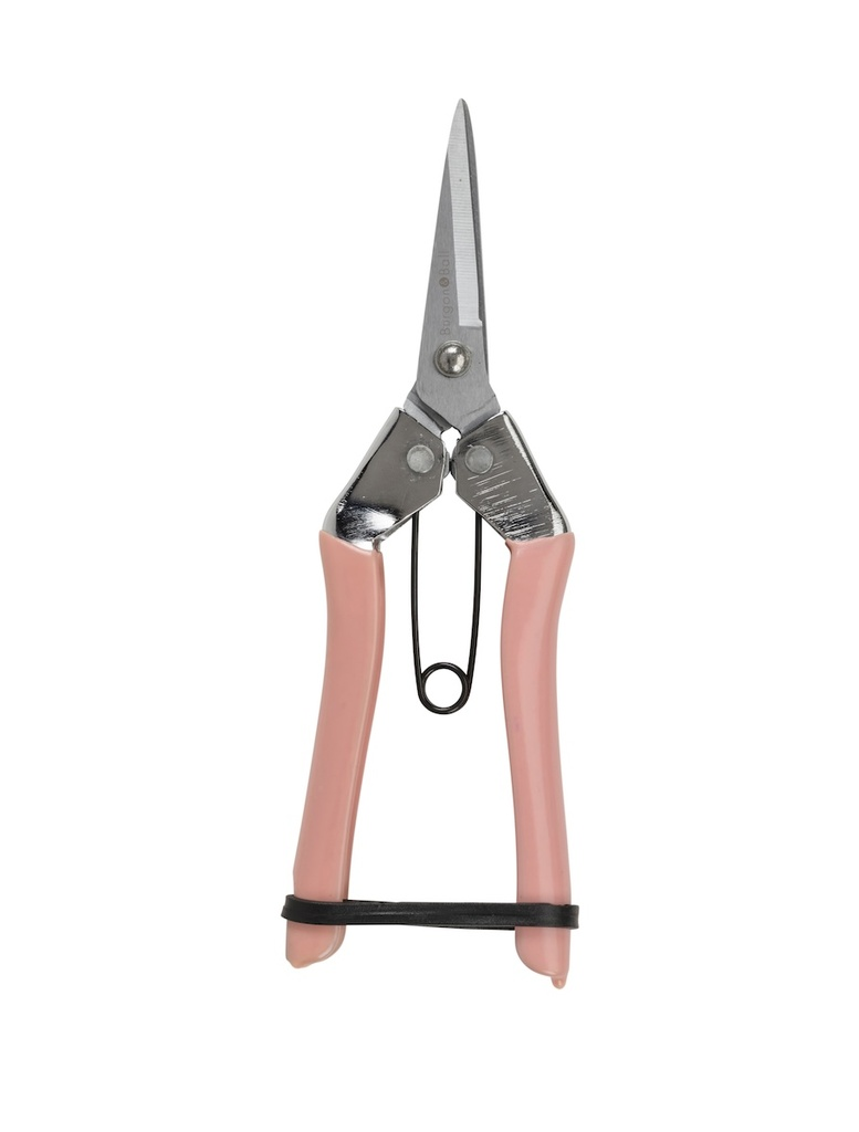 Collector Fruit & flower Snips - Blush
