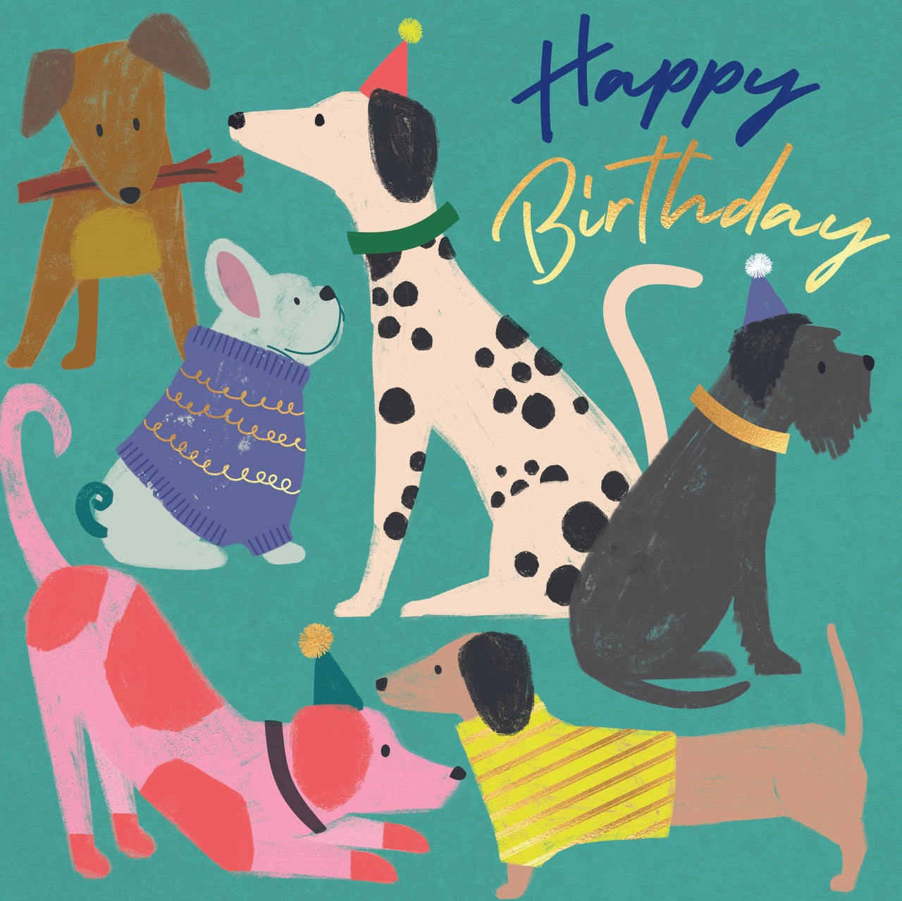 Happy Birthday 6 Dogs Card