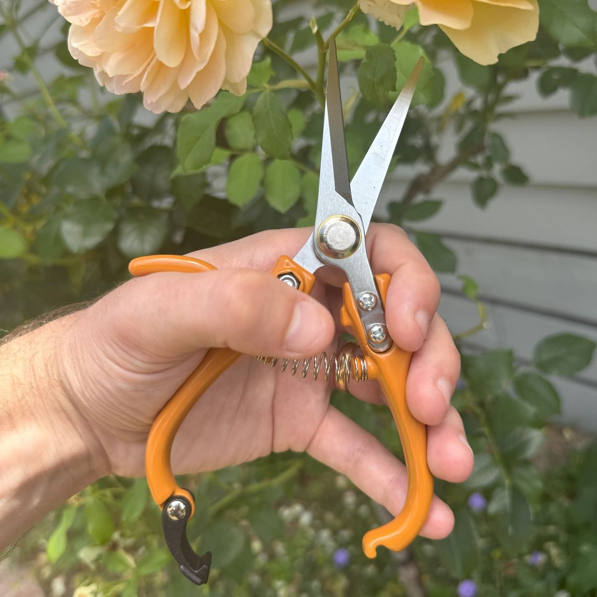 Indoor Plant Snips - Cinnamon