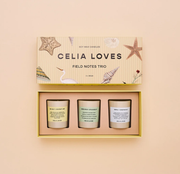 Trio Candle Set - Field Notes