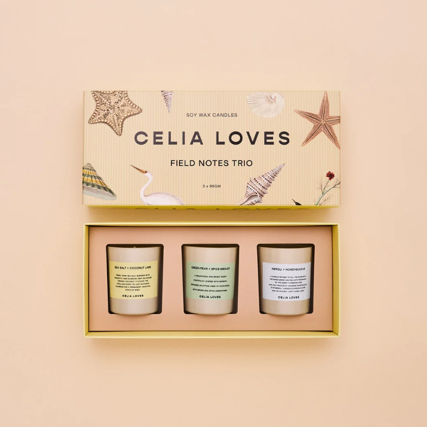 Trio Candle Set - Field Notes