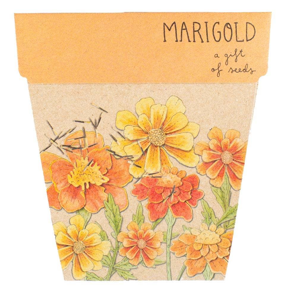 Gift of Seeds - Marigold
