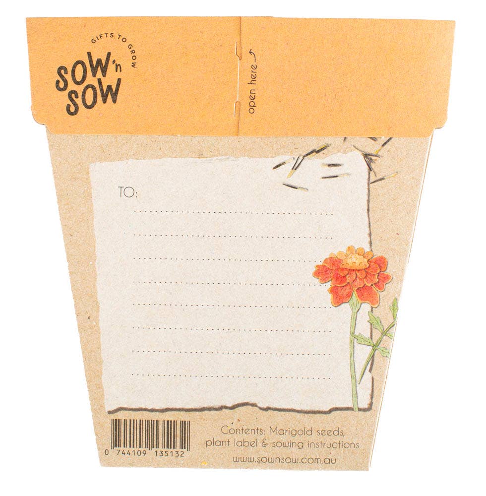 Gift of Seeds - Marigold