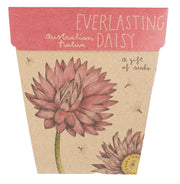 Gift of Seeds - Everlasting Daisy