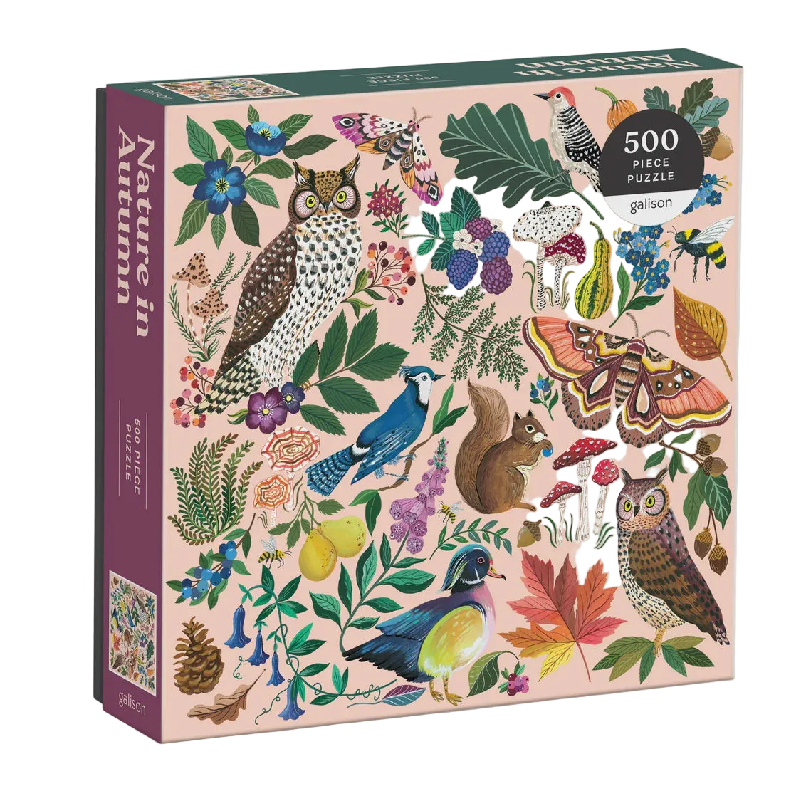 500pc Puzzle - Nature in Autumn