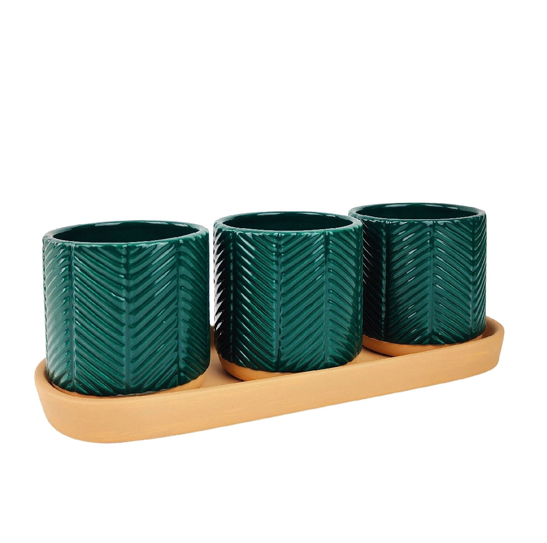 Zari Planters on Saucer