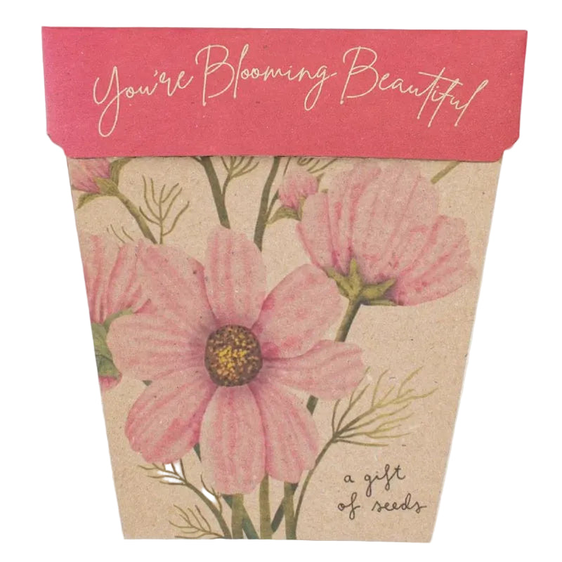 Gift of Seeds - Blooming Beautiful
