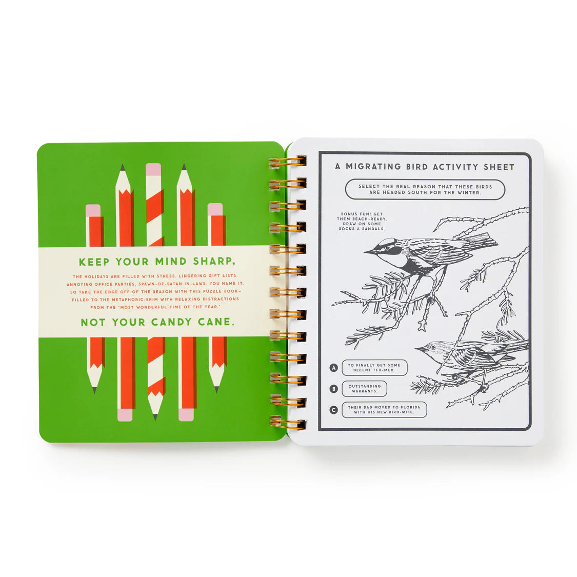 Beyond Bored Activity Book - Holiday Edition