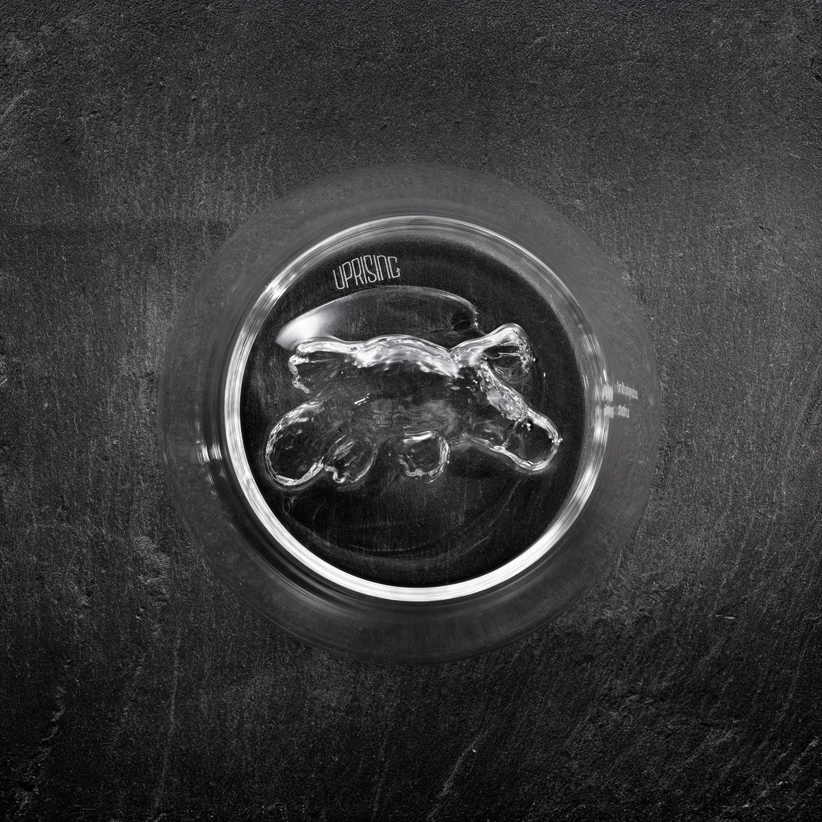 Uprising Stemless Glass - Platypus