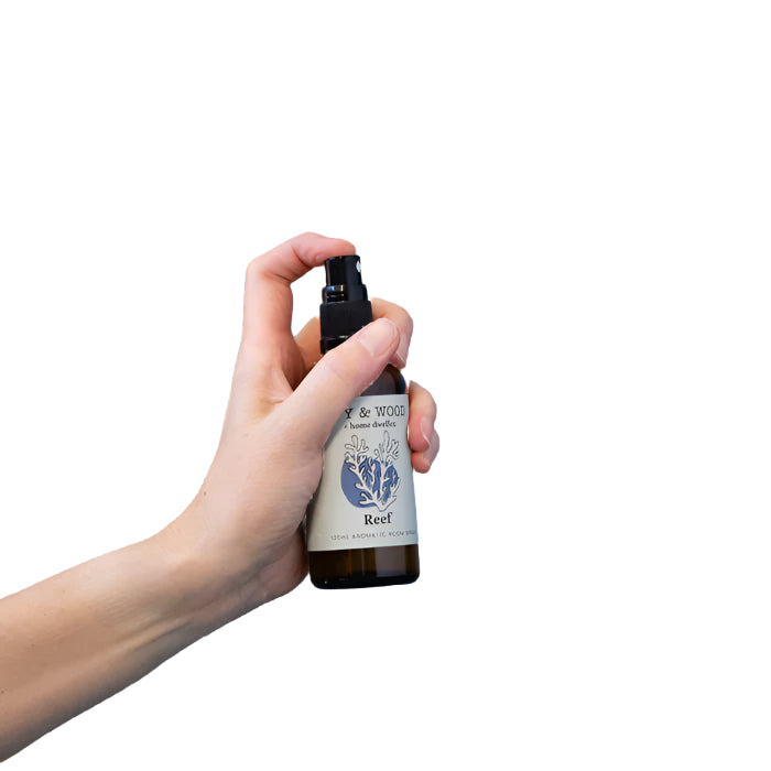 Homebody Room Spray - Reef