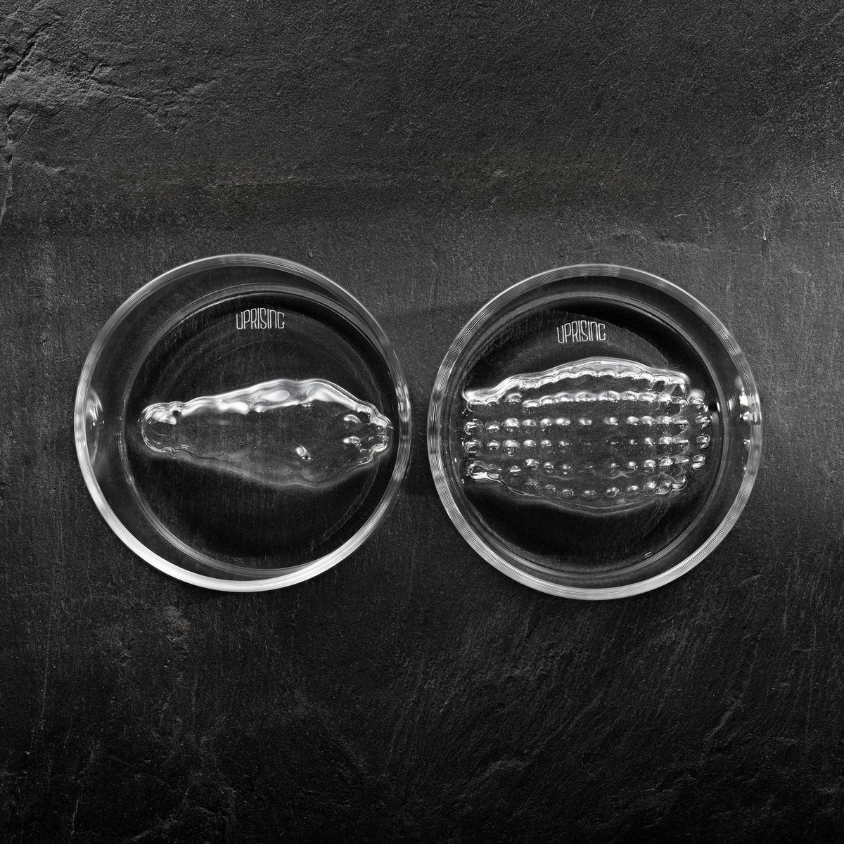 Uprising Old Fashioned Glasses Set - Saltwater Crocodile