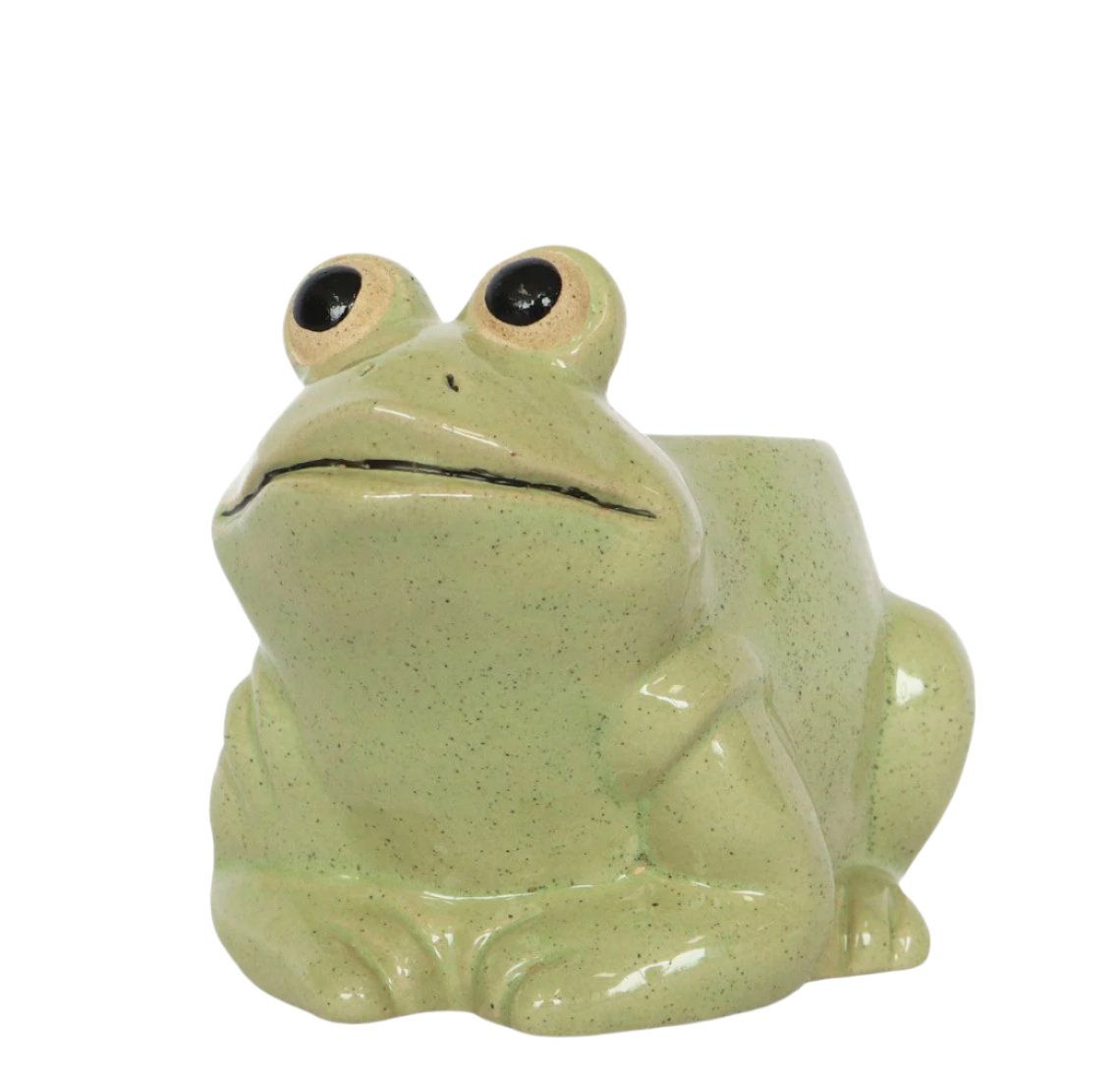 Frog Planter Small