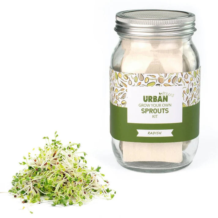 Sprout Kit Jar
