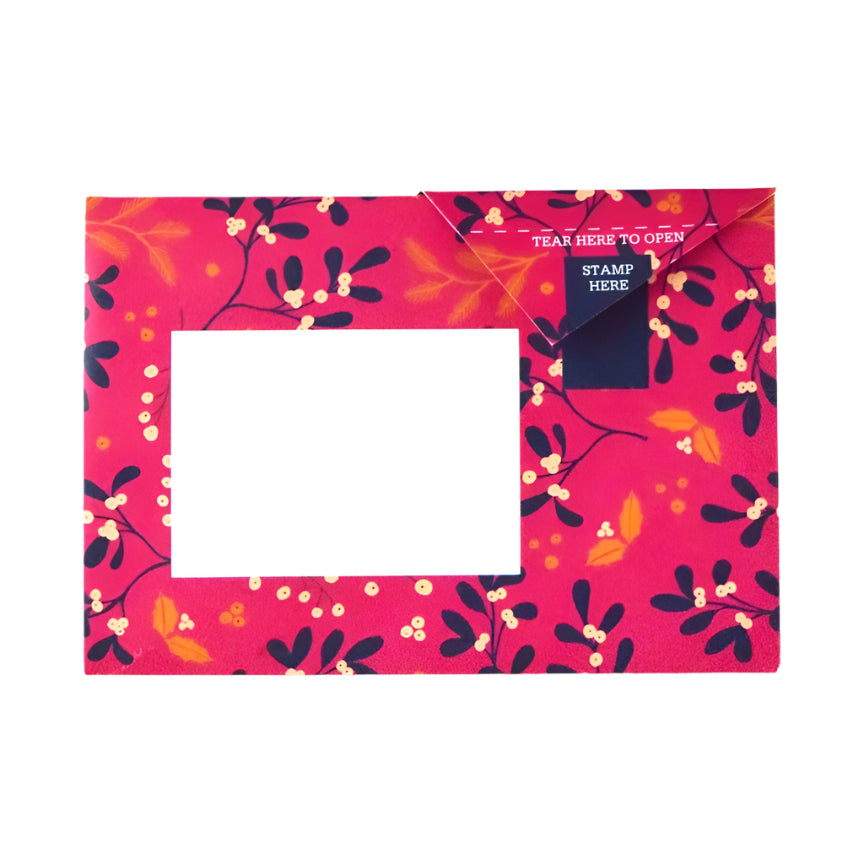 Pigeon Letter Pack - Winter Berry