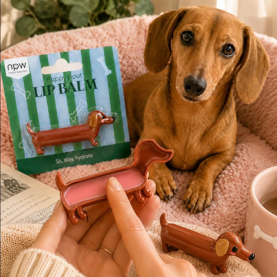 Novelty Lip Balm - Puppy Pout with Raspberry Scent