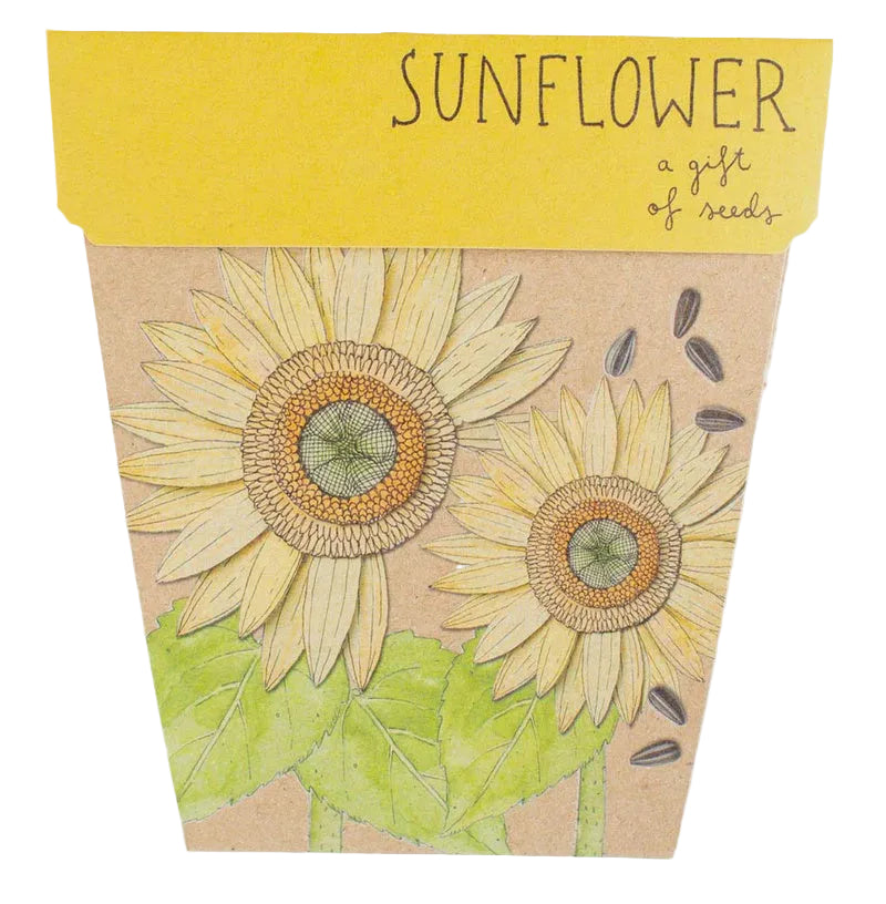Gift of Seeds - Sunflower
