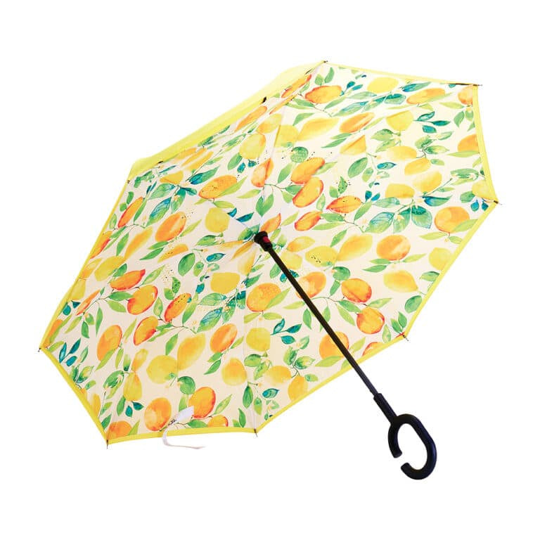 Reverse Umbrella