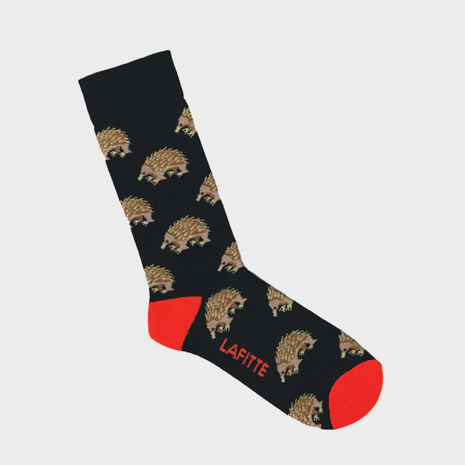 LAFITTE Socks - Echidna - Black (W8-12, M6-11)
