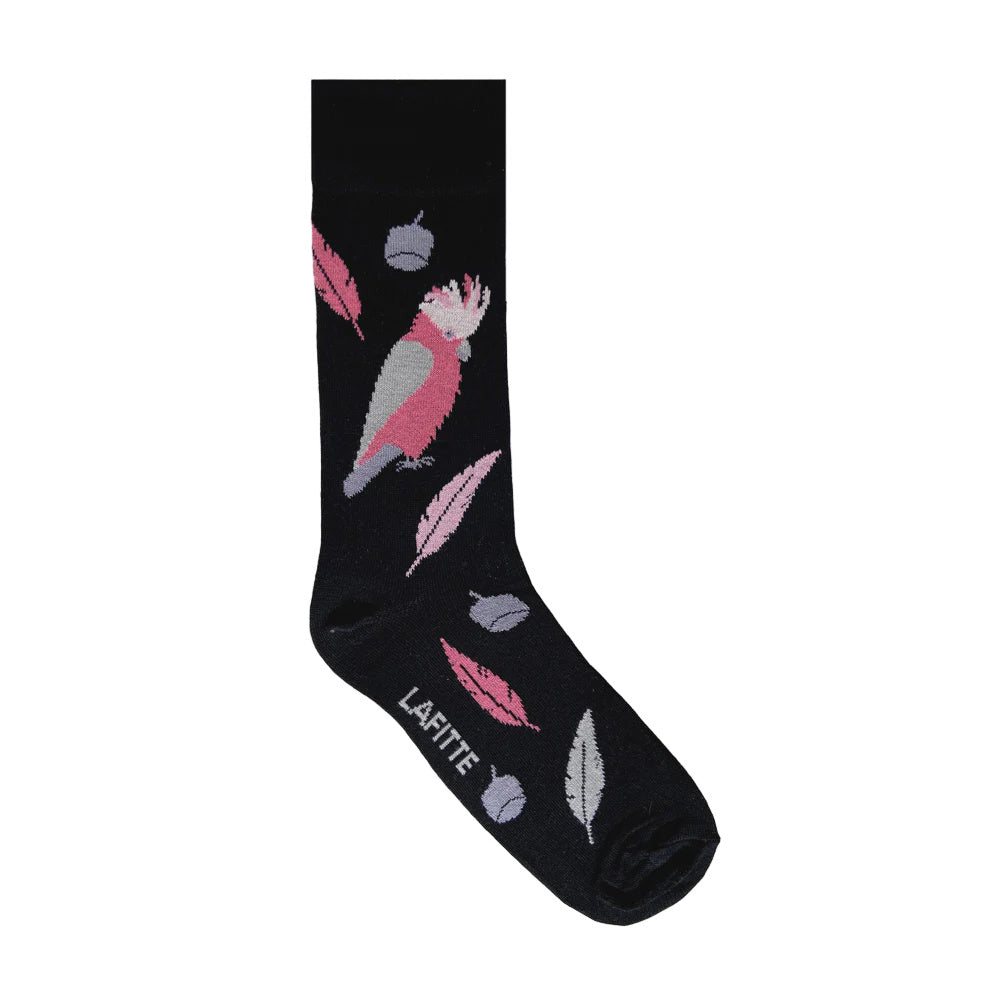 LAFITTE Socks - Galah - Black (W2-8)
